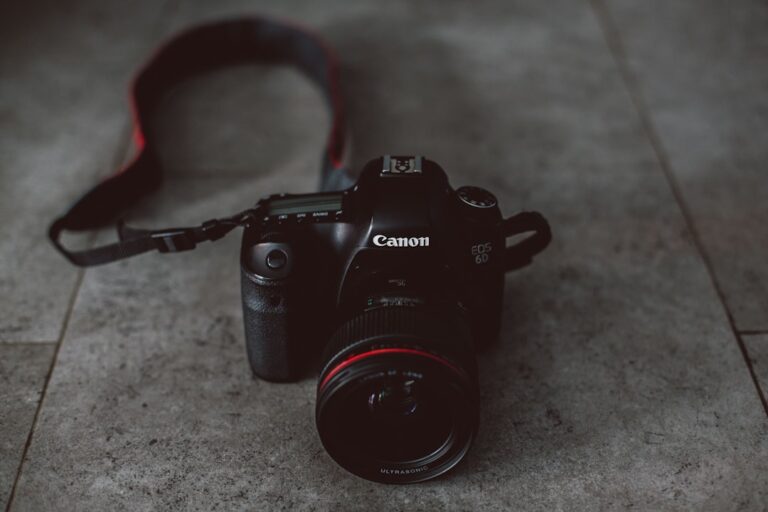 Essential Photography Equipment Every Beginner Should Own